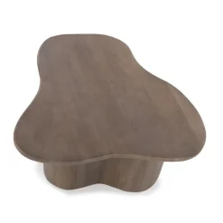 Salontafel Fall, set van 2