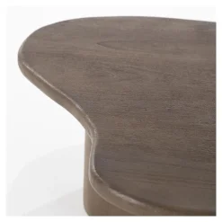 Salontafel Fall, set van 2