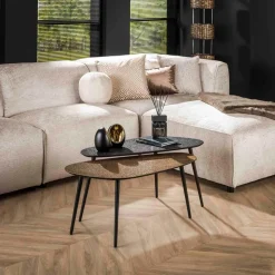 Salontafel niervormig metallic, set van 2