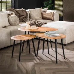 Salontafel Organisch, Set van 3