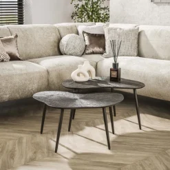 Salontafel set/2 Brown Ray Metal leaf