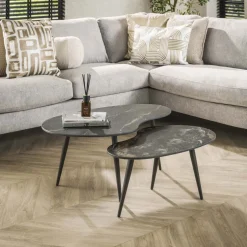Salontafel set/2 niervormig fossil