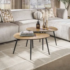 Salontafel set/2 organisch ray metal