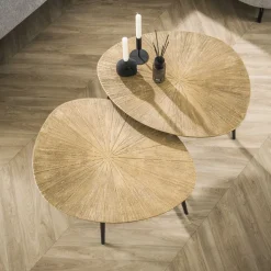 Salontafel set/2 organisch ray metal