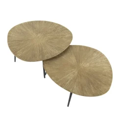 Salontafel set/2 organisch ray metal