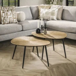 Salontafel set/2 organisch ray metal